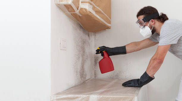 Professional Black Mold Remediation technician working in Jordan, NY